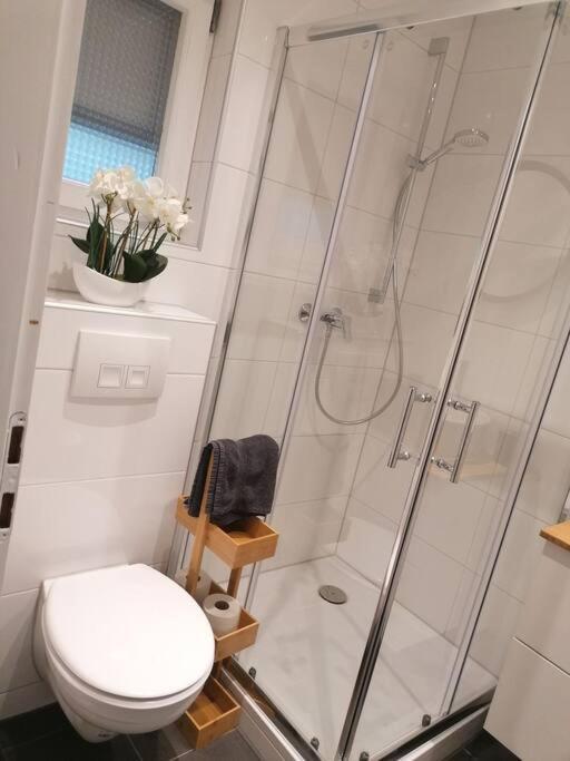Ferien Und Monteurzimmer Arnadia Grasellenbach Ngoại thất bức ảnh